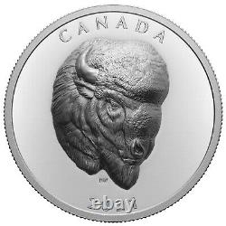 Bald Buffalo 1 Ounce Silver Proof EHR Coin 25 CAD Canada 2021
