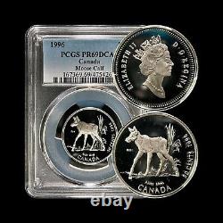 CANADA. 1996, 50 Cents, Silver PCGS PR69 Top Pop? Moose Calf 614