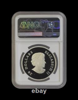 CANADA. 2011, 20 Dollars, Silver NGC PF70 Top Pop? Snowflake, Emerald