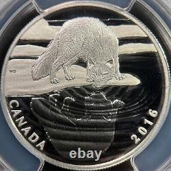 CANADA. 2016, 10 Dollars, Silver PCGS PR70 Top Pop? Reflections Arctic Fox