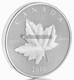 Canada 2010 MAPLE LEAF $5 1 Troy Oz Pure Silver REVERSE PROOF PIEDFORT Full OGP
