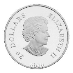 Canada 2011 Emerald Snowflake Swarovski 20$ Pure Silver Proof Coin Perfect