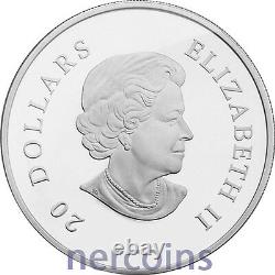 Canada 2011 Snowflake Swarovski Emerald 20$ Pure Silver Proof Coin Perfect
