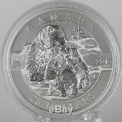 Canada 2013 $25 Polar Bear 1 oz. 99.99% Pure Silver Proof Commemorative Coin