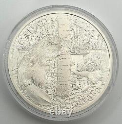 Canada 2013 $50 Beaver Family 5 oz. 99.99% Pure Silver Proof Coin 1/1497