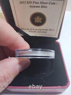 Canada 2013 Autumn Bliss $20 Fine Silver Proof Coin Colored Royal Canadian Mint