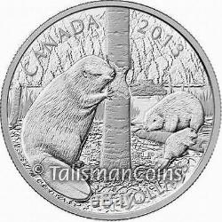 Canada 2013 Beaver Family $50 Five 5 Oz Ounce Pure Silver Proof in Full OGP