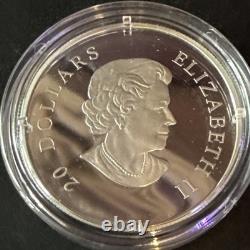 Canada 2013 Winter Snowflake 1 oz. Pure Silver $20 Proof Coin, Swarovski Crystal