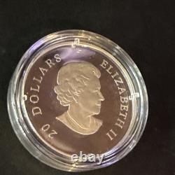 Canada 2013 Winter Snowflake 1 oz. Pure Silver $20 Proof Coin, Swarovski Crystal