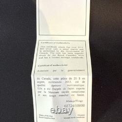 Canada 2013 Winter Snowflake 1 oz. Pure Silver $20 Proof Coin, Swarovski Crystal