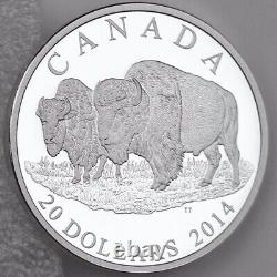 Canada 2014 $20 Bison #2 Bull and His Mate 1 oz Pure Silver Proof Edge Lettering