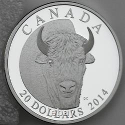 Canada 2014 $20 Bison, A Portrait 1 oz. 99.99% Pure Silver Proof, Edge Lettering