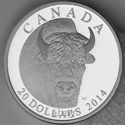 Canada 2014 $20 Bison, A Portrait 1 oz. 99.99% Pure Silver Proof, Edge Lettering
