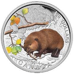 Canada 2014 Baby Animals Beaver $20 Pure Silver Proof Coin Perfect