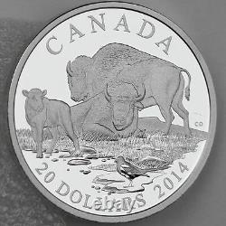 Canada 2014 Bison A Family at Rest 1 oz 99.99% Pure Silver Proof Edge Lettering