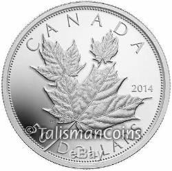 Canada 2014 Silver Maple Leaf $50 5 Ounce Pure Silver Ultra High Relief Proof