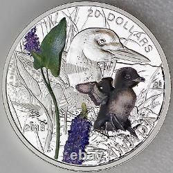 Canada 2016 $20 Baby Animals Common Loon 1 oz Pure Silver Color Proof Coin