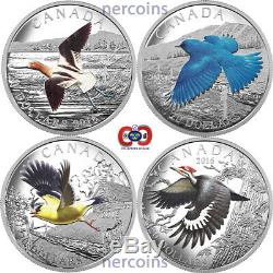 Canada 2016 Migratory Birds $20 x 4 Coins Colored Silver Proof Set Perfect