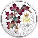 Canada 2018 Queen's Maple Leaves Brooch 1Oz $20 Silver Proof Coin with Pearl