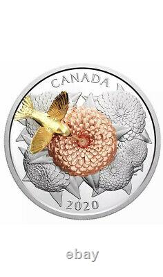 Canada 2020 $50 Moving Hummingbird and the Bloom 5OZ Pure Silver Proof Coin