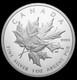 Canada 2025 Triple Maple $20 Silver Proof Coin 1oz. 9999 Fine OEM