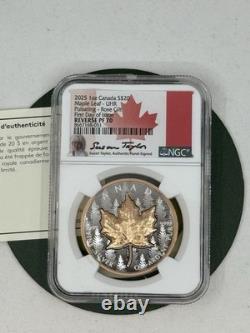Canada 2025 UHR Rose Incused Maple 1 Oz Silver NGC PF70 FDI Intl Customer