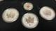Canada North American Legacy Of Liberty 4 Set 3 Candian Siver Maples