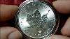 Canadian Maple Leaf Silver Coin