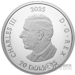 DEAR SANTA Silver Coin 20$ Canada 2025