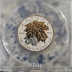 LIMITED Canada Maple Leaf $3 2014 Reverse Proof Silver ANACS RP70 First Release