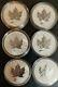 LOT OF 6 Canada Maple Leaf PRIVY Reverse Proof. 9999 Pure 1oz Silver Coins