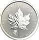 (LOT of 5) 2017 canada 1 oz silver maple leaf Cougar Privy Reverse Proof