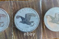 Lot Of 5 2017 CANADA $5 REVERSE PROOF BIRDS OF PREY SERIES EAGLE 1OZ SILVER COIN