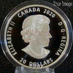 Low COA 2020 Bill Reid Xhuwaji Haida Grizzly Bear $20 Pure Silver Proof Coin