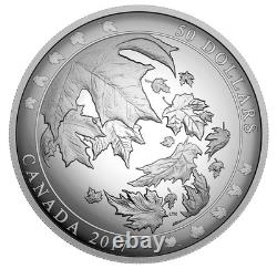 MAPLE LEAVES IN MOTION 2017 CANADA 5oz. 9999 Silver Proof $50 CONVEX Coin