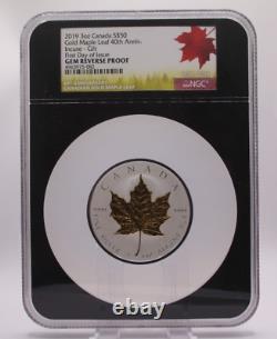 NGC 2019 3oz Canada $50 Gold Maple Leaf 40th Anniv Incuse-Gilt Gem RP 013GRA