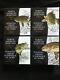 North American Sportfish 4 coin set $20 Canada silver 1oz proof Bass Walleye etc