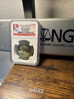 O Canada 2014 Proof Gem $10 Silver Coin Grizzly Bear