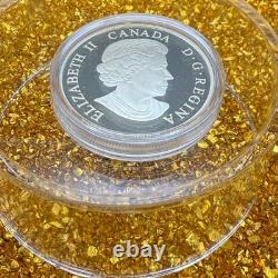 Proof 2014 Canadian $20.999 Silver 1 oz Colorized Caribou, COA, Leather Case