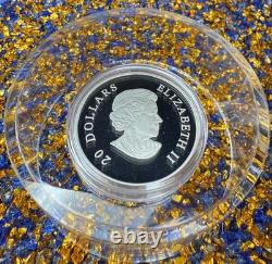 Proof 2015 Canadian $20.999 Silver 1 oz Franklin's Lost Expedition, COA, Case