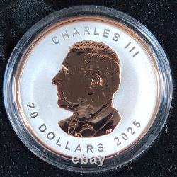 Reverse Proof Silver 2025 Canada 1 oz Ultra High Relief $20 Maple Leaf