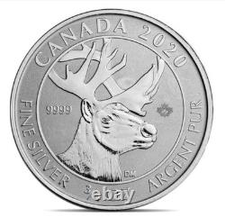 Roll 30 Silver Canada Coins 2020 3/4 Oz RCM Woodland Caribou Reverse Proof. 9999