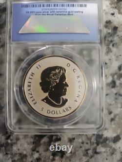 Royal Canadian Mint 2014 Canadian Silver Maple Leaf 1 oz ANACS RP70 DCAM #702