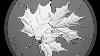 Triple Maple Leaves Rhodium Guilded 2026 Canada 1oz 9999 Silver Proof 20 Coin