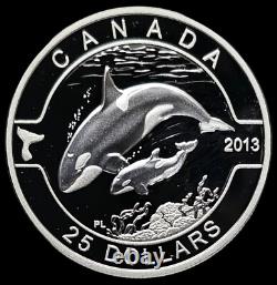 Unc Canada 2013 $25 Orca 1 Oz. 999 Pure Silver Proof Coin O Canada Series 1016