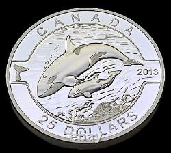 Unc Canada 2013 $25 Orca 1 Oz. 999 Pure Silver Proof Coin O Canada Series 1016