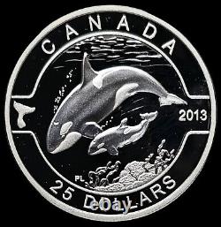 Unc Canada 2013 $25 Orca 1 Oz. 999 Pure Silver Proof Coin O Canada Series 1016