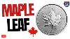Why I Stack The Canadian Silver Maple Leaf Coin